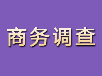 方山商务调查